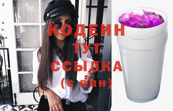 индика Бородино